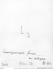 Historisches Foto (Rückseite) von Laeviprosopon fraasi nov. subspec. (Moericke, 1889) (NHMW-AFW-GEO-BACHMAYER-FOTO-1990-0041-2098)
